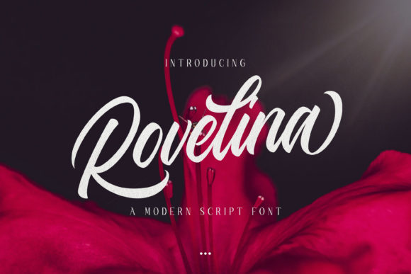 Rovelina: The Handwritten Font for Modern Brands
