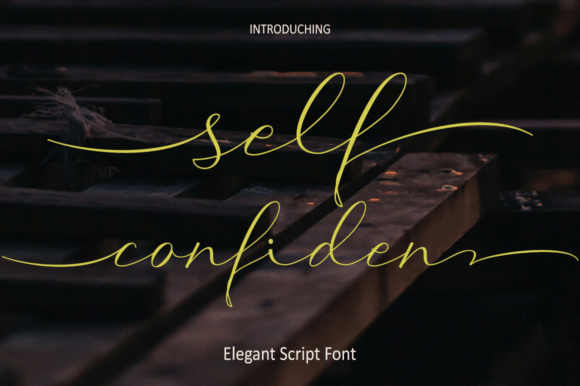 Self Confident: The Modern Script for Authentic Brand Voices