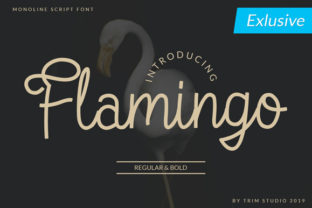 Why Flamingo Is the Monoline Script Your Brand Needs